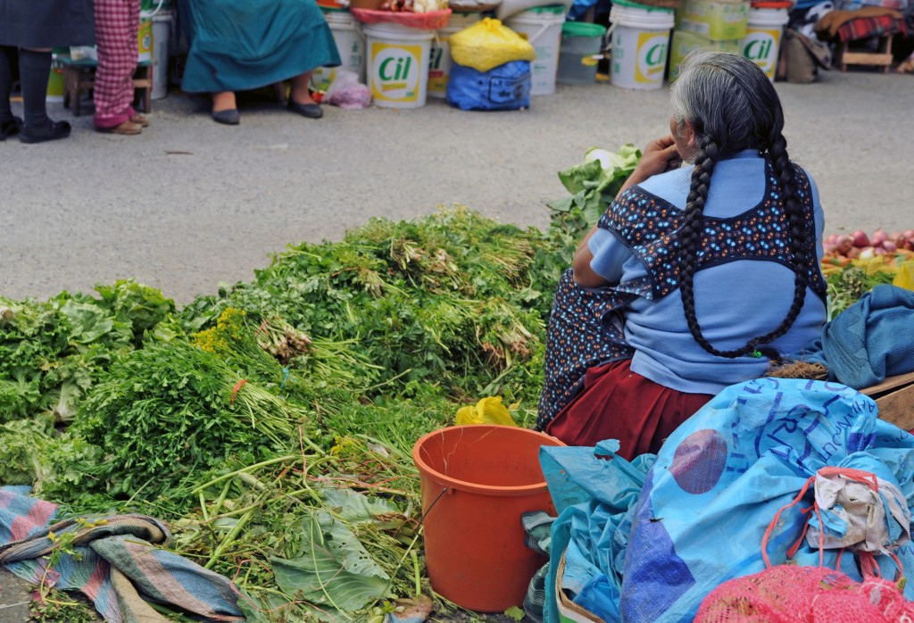 Lettuce and braids I was captivated by the bright piles of lettuce and the woman's indigenous Quechuan hairstyle - 2 braids tied together at the bottom.
